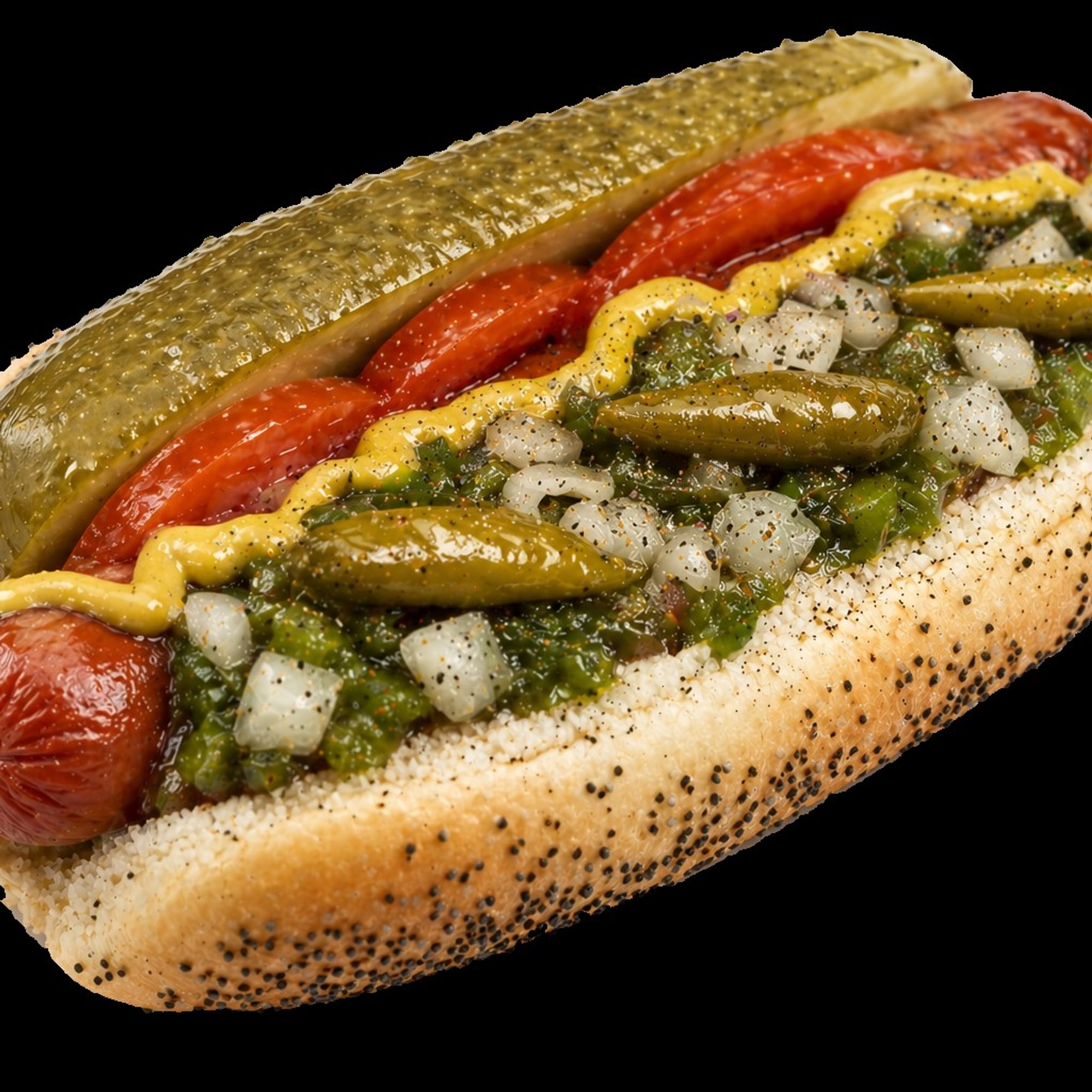 Chicago Style Hot Dog