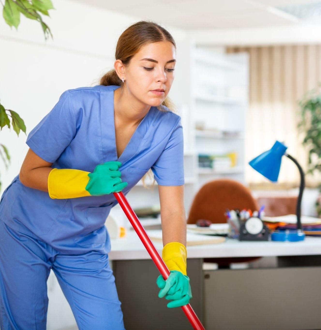 Extreme Maids Image