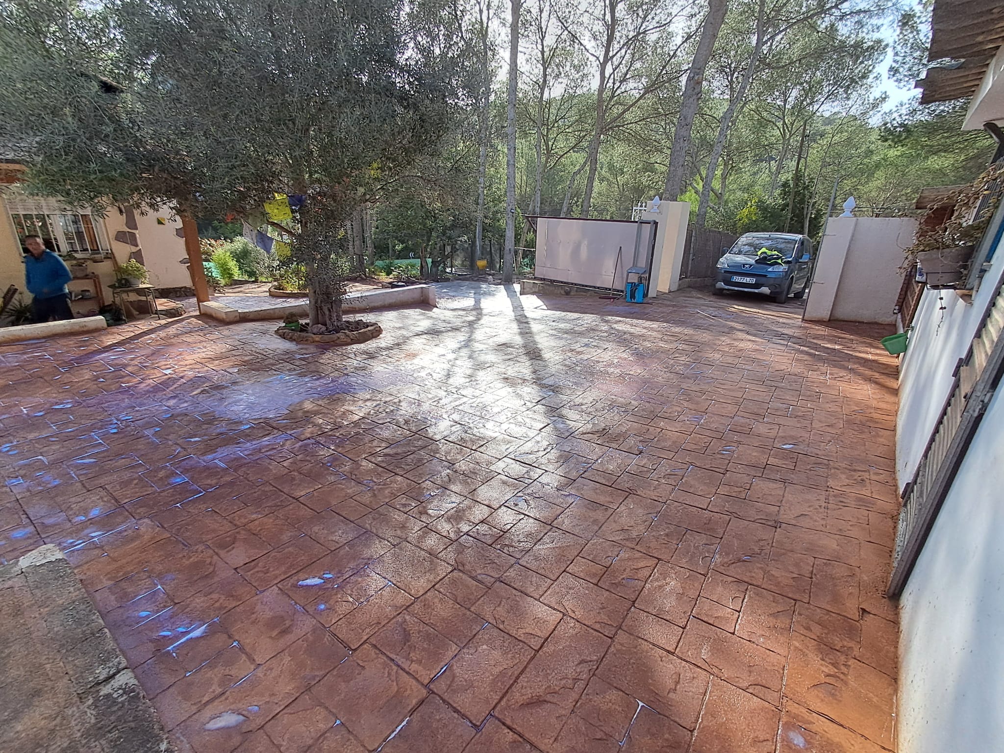 Galería en miniatura