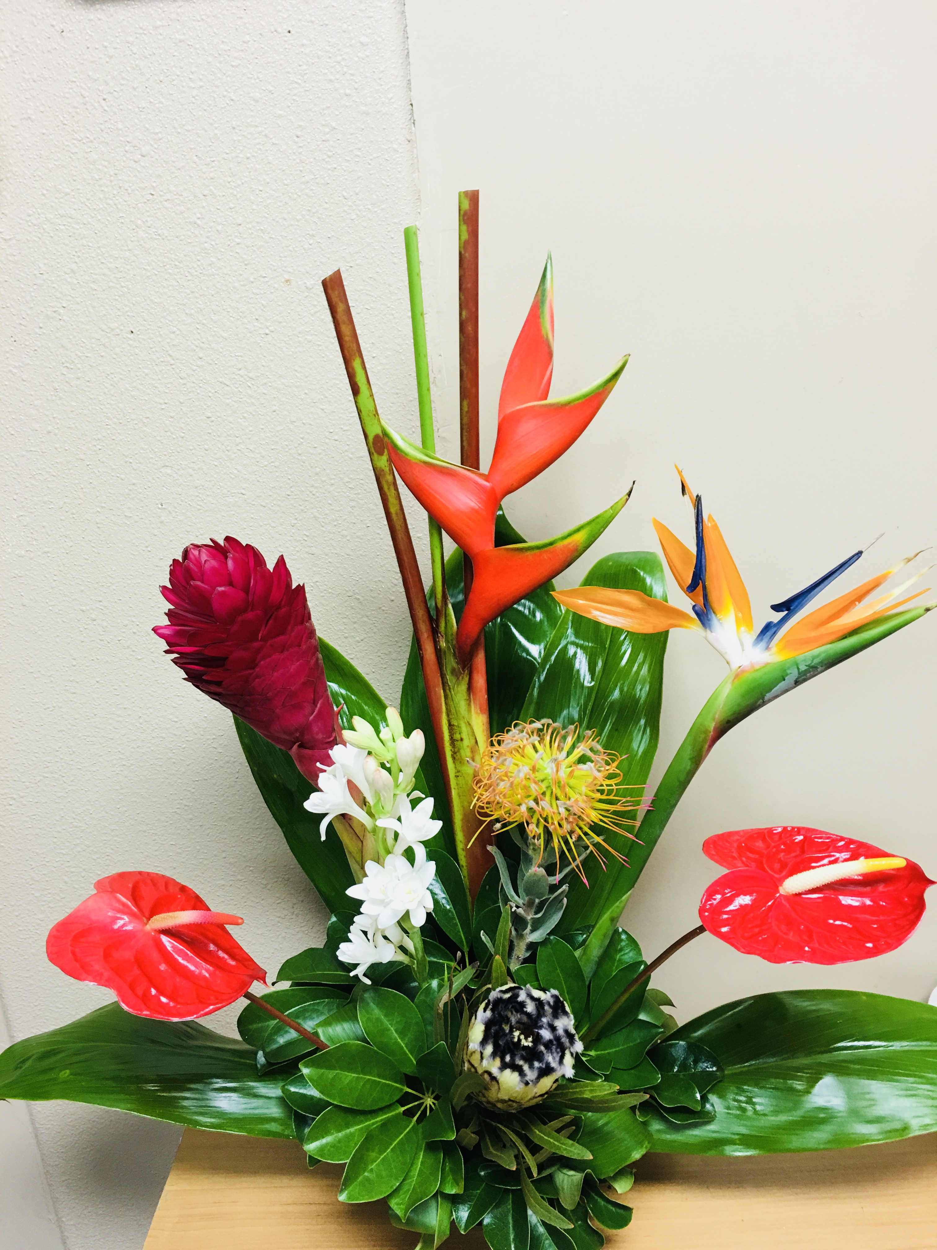 Tropical Flowers