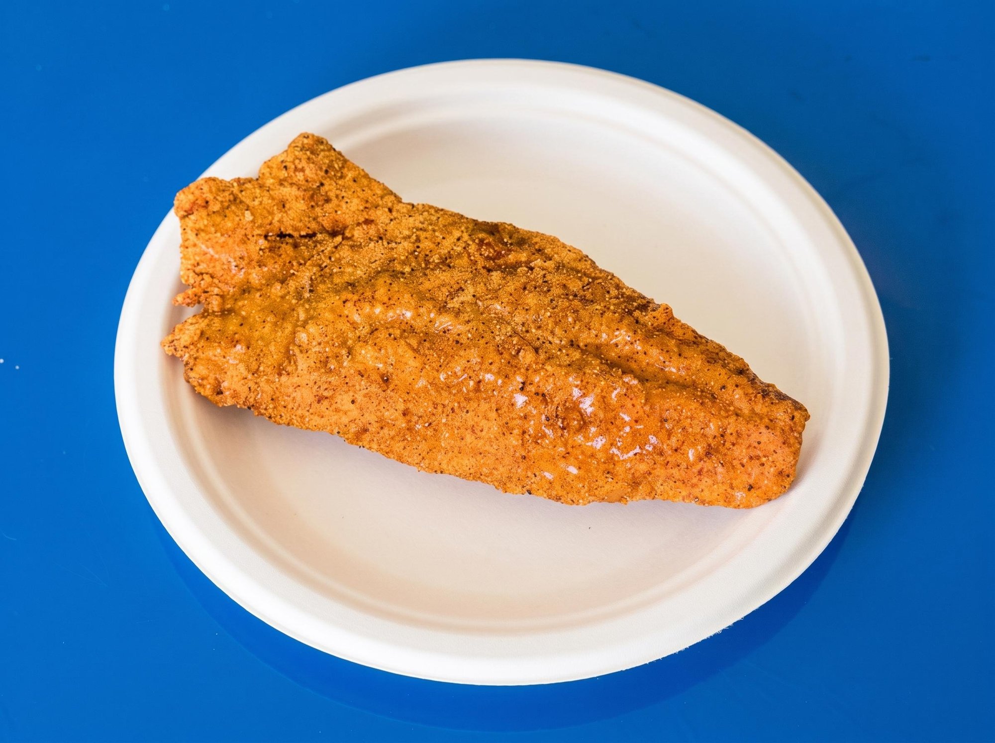 Catfish Filet