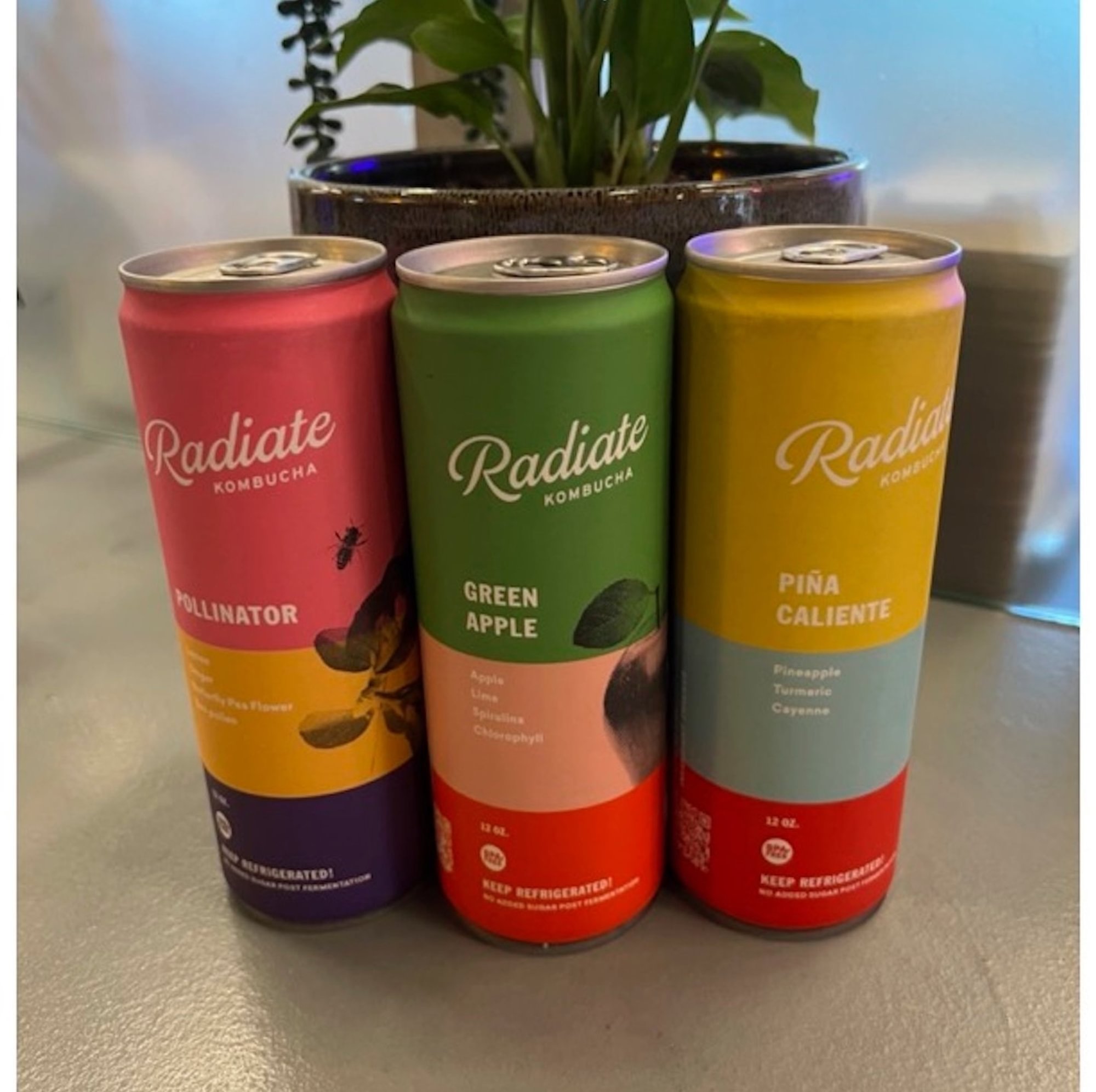 Kombucha