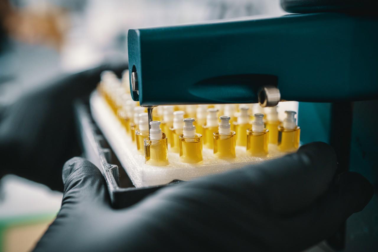 Mother Earth Wellness Image