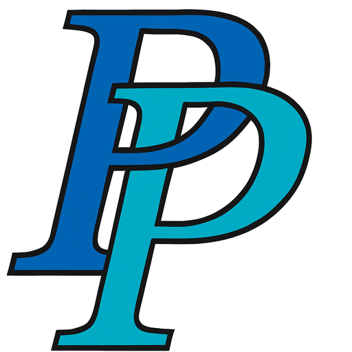 Professional Plumbing Inc