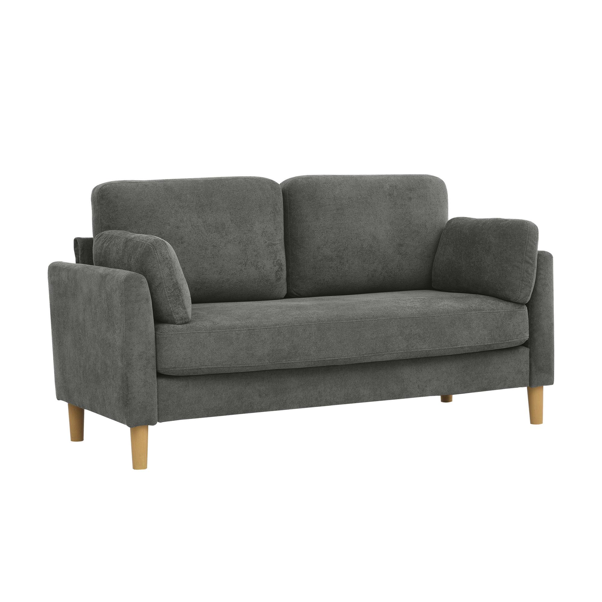 Eira Minimalist Loveseat Sofa, Gray