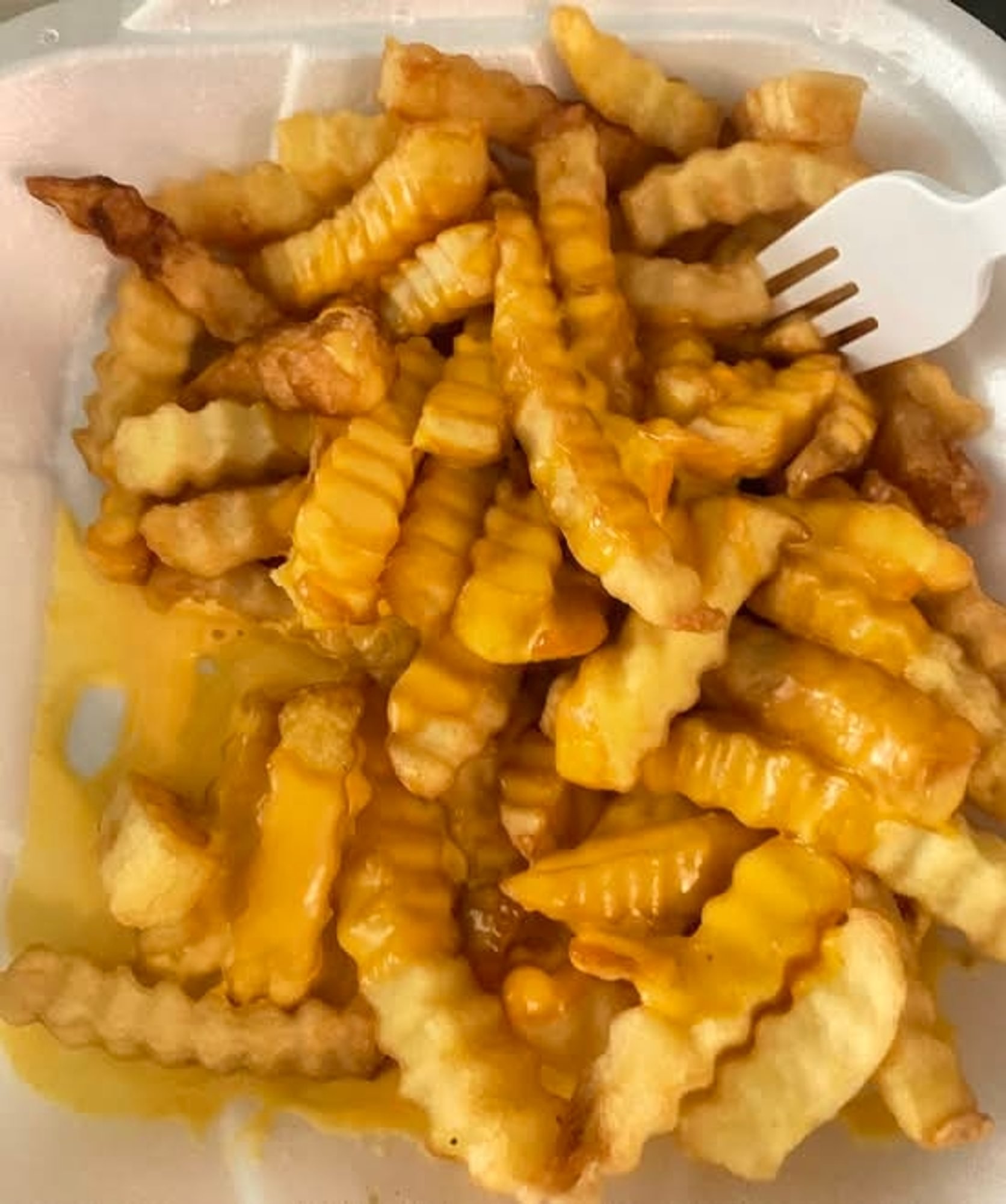 Chili Cheese Fries