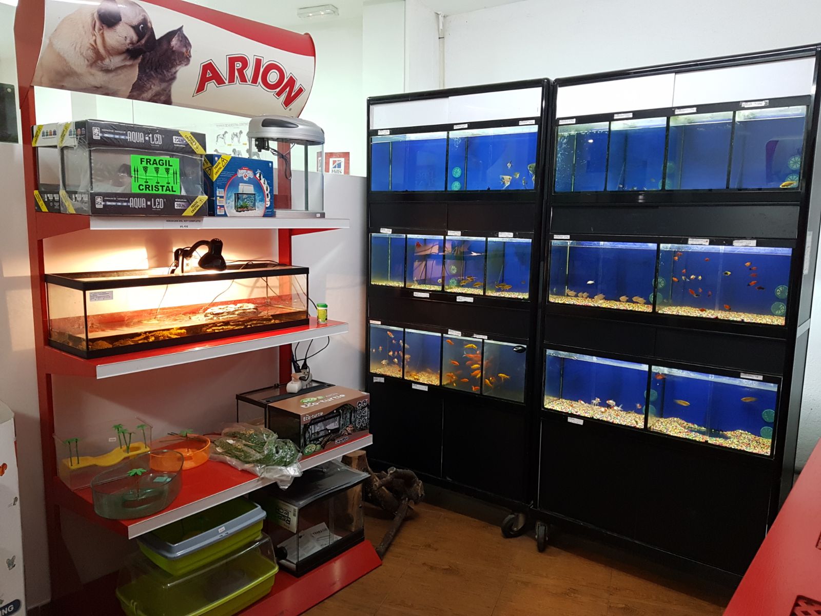 Galería en miniatura