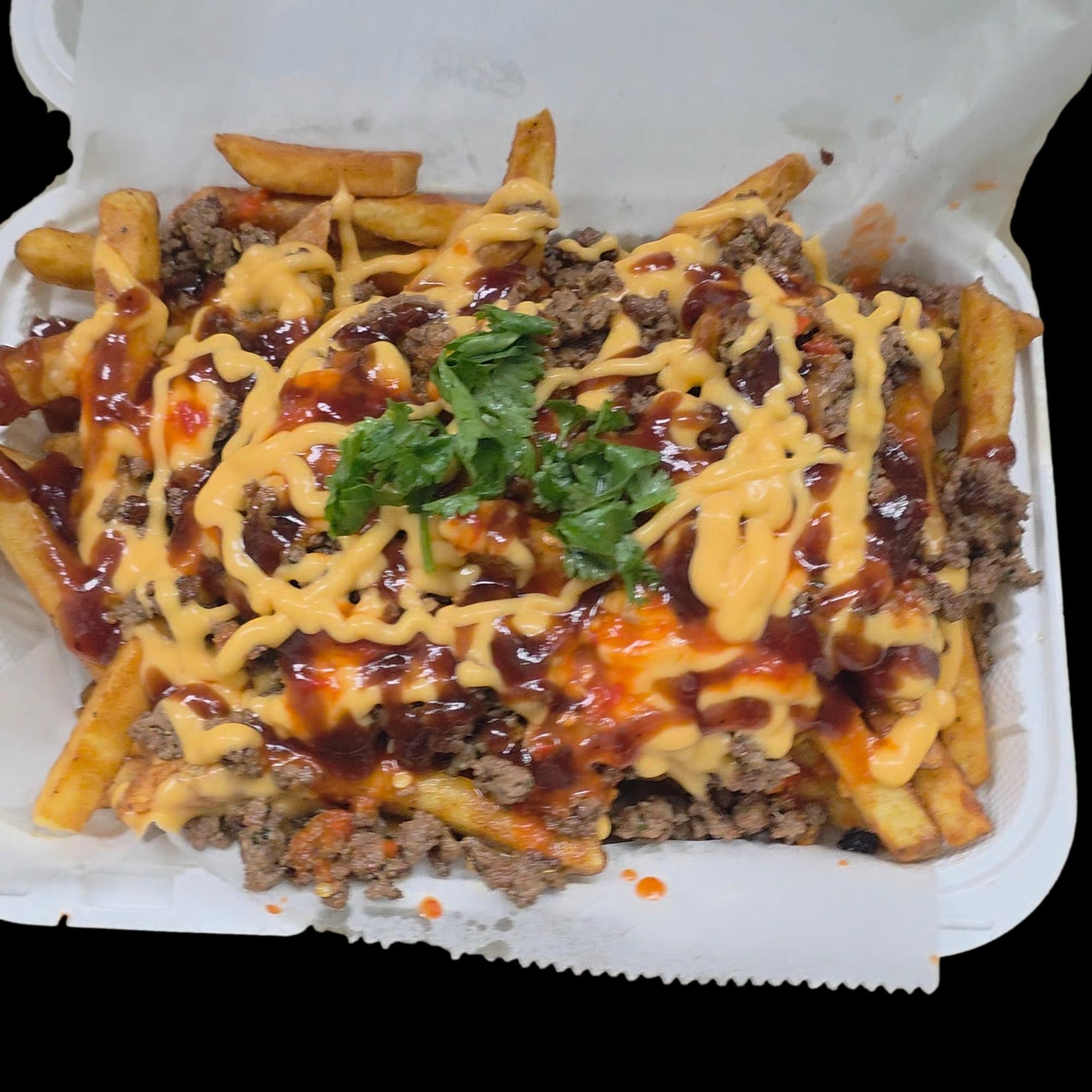 Aryana Fries