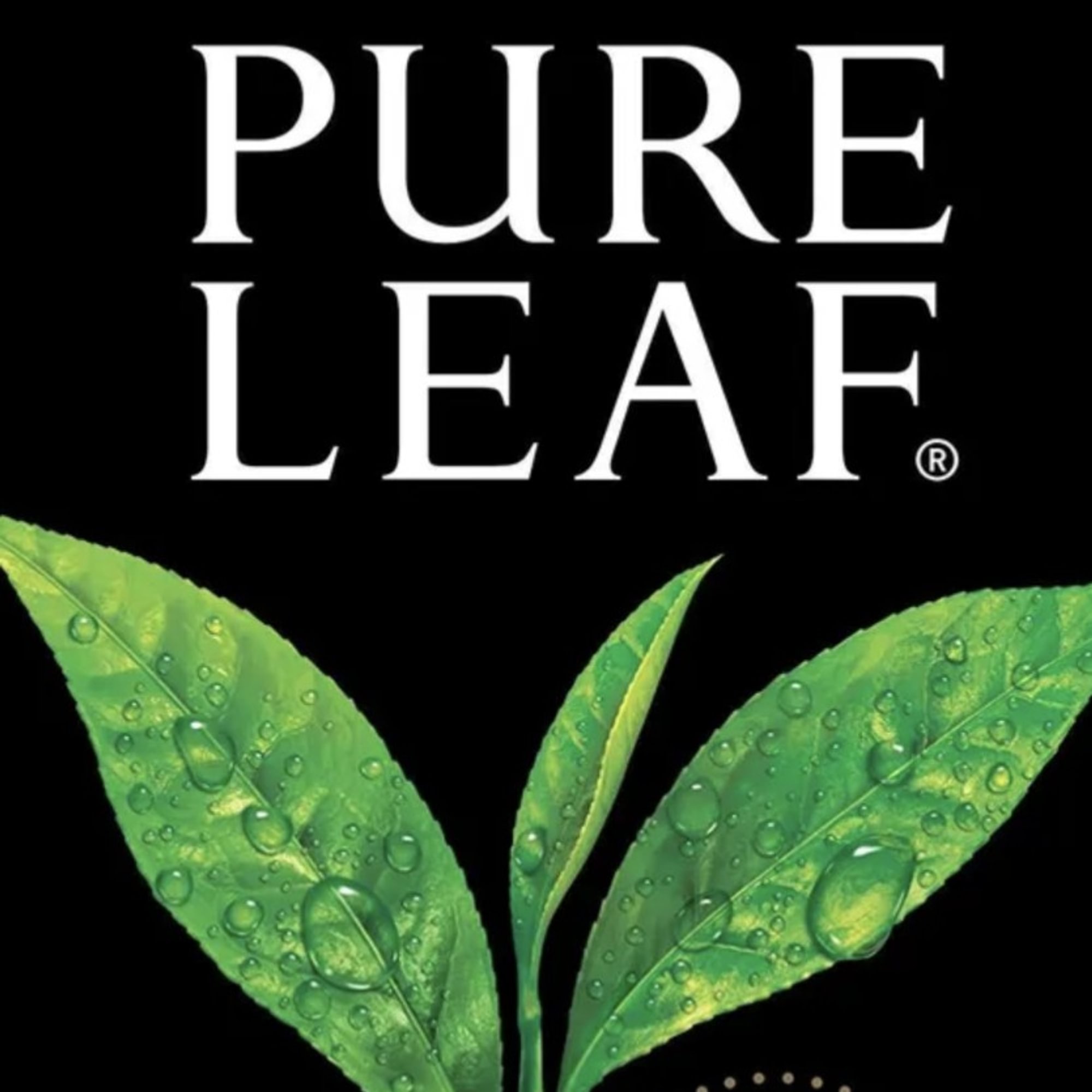 PURE LEAF brewed tea