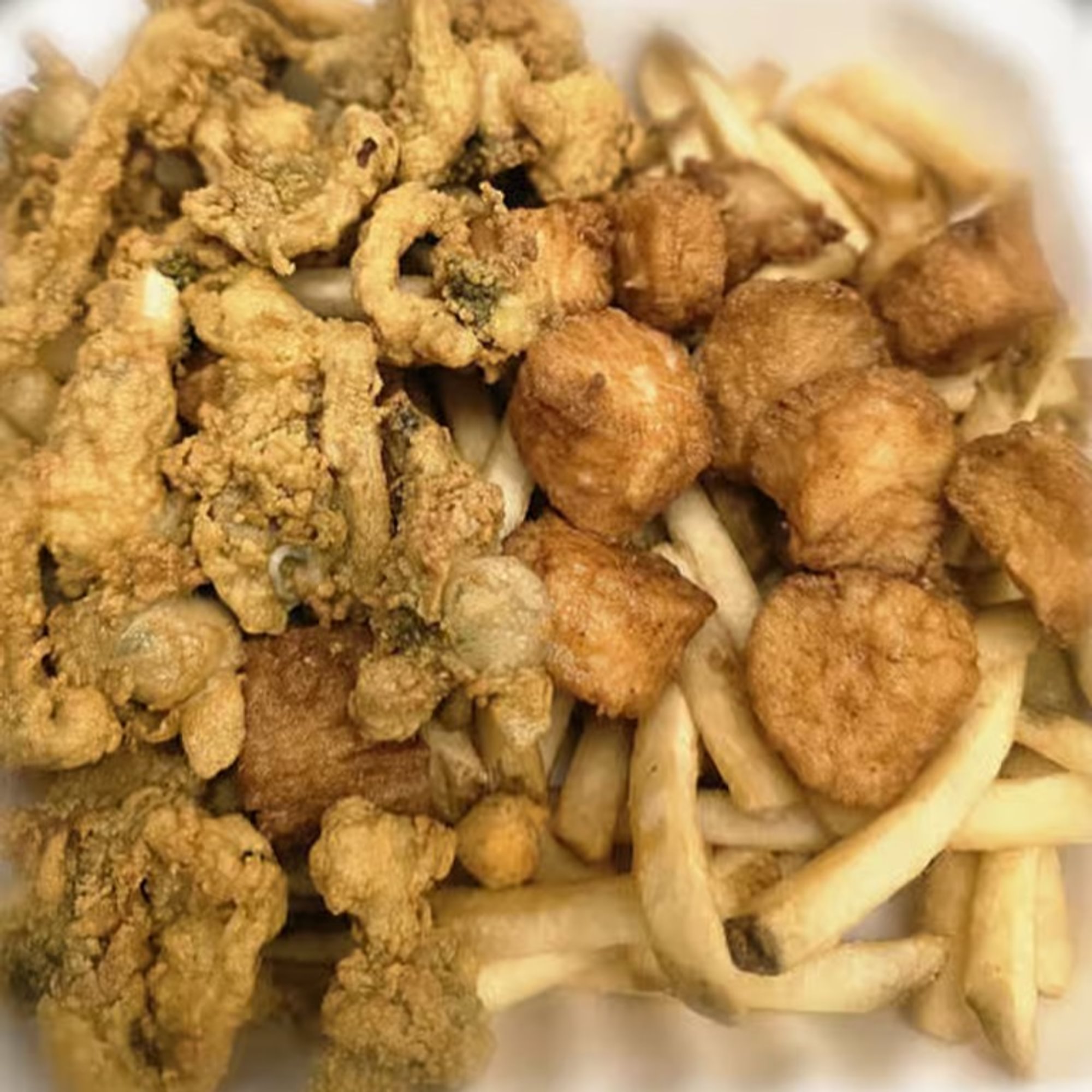Clams & Scallops