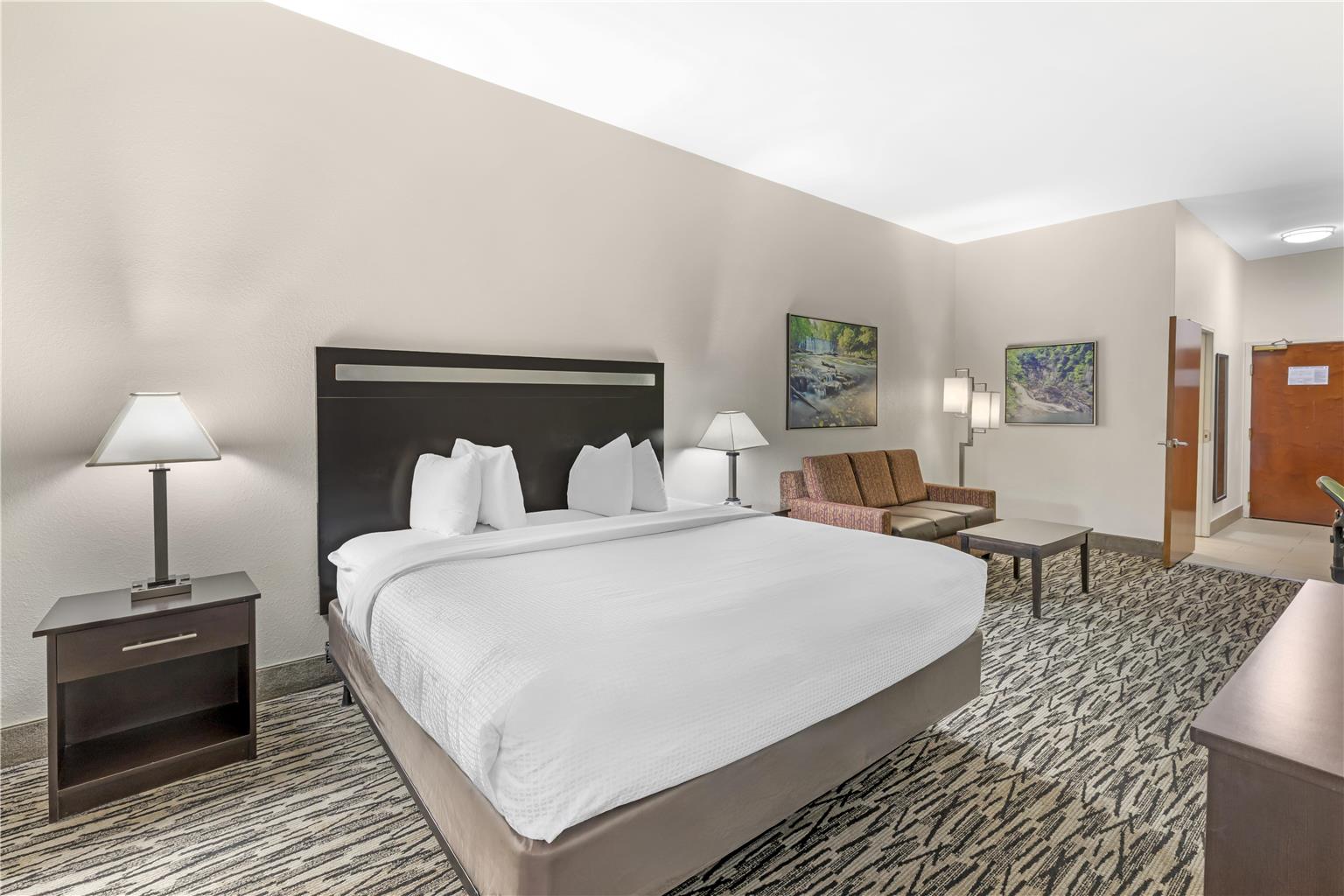 Best Western Plus McDonough Inn & Suites Image