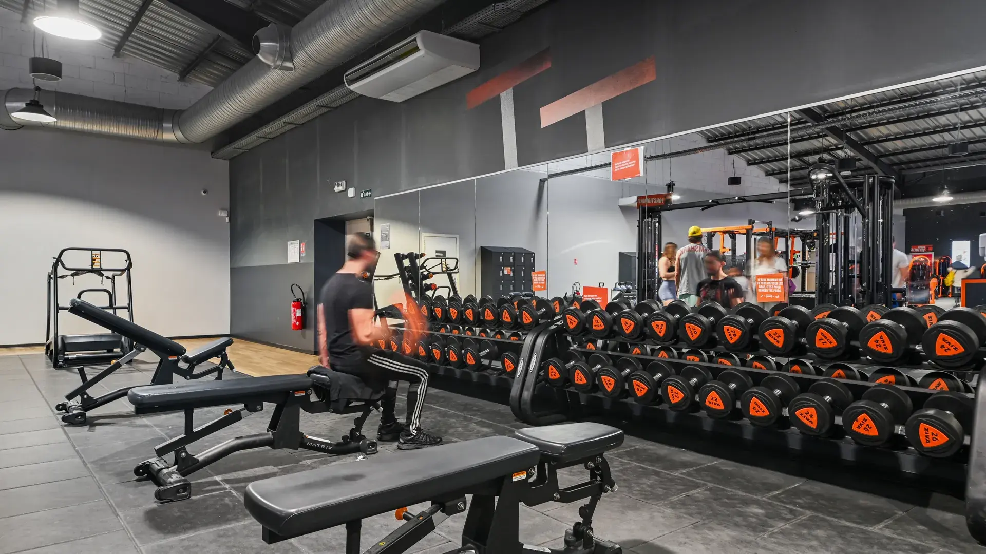 Miniature de la galerie