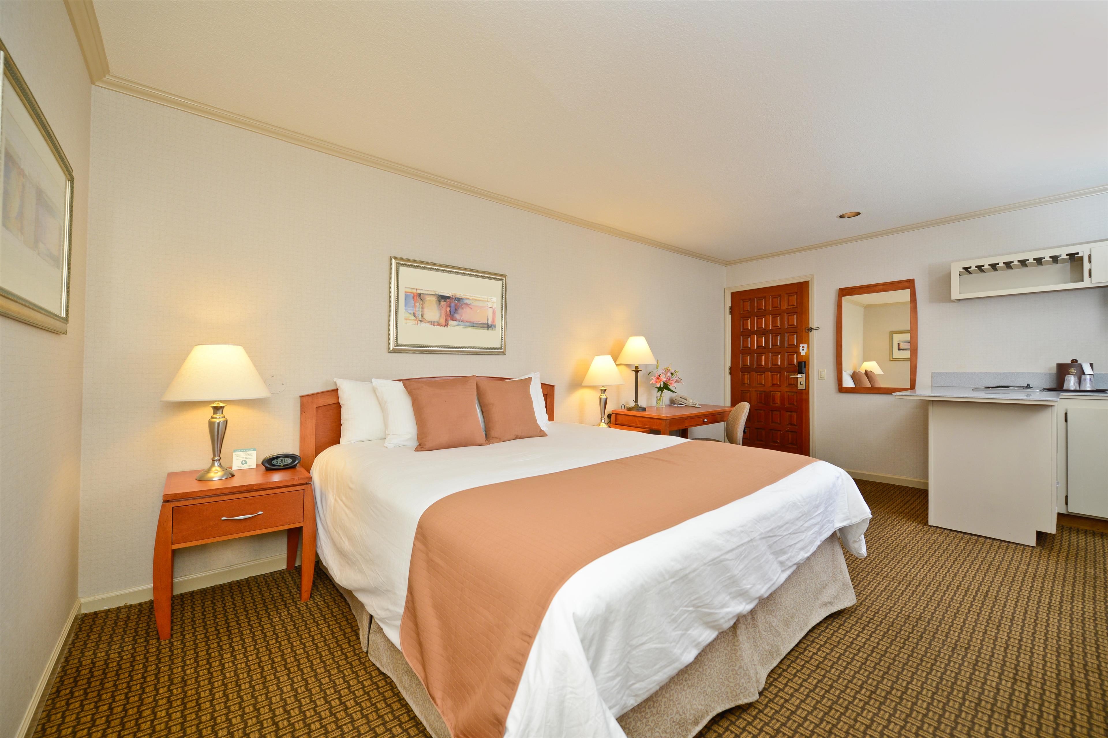 Best Western Plus Mountain View Inn Image