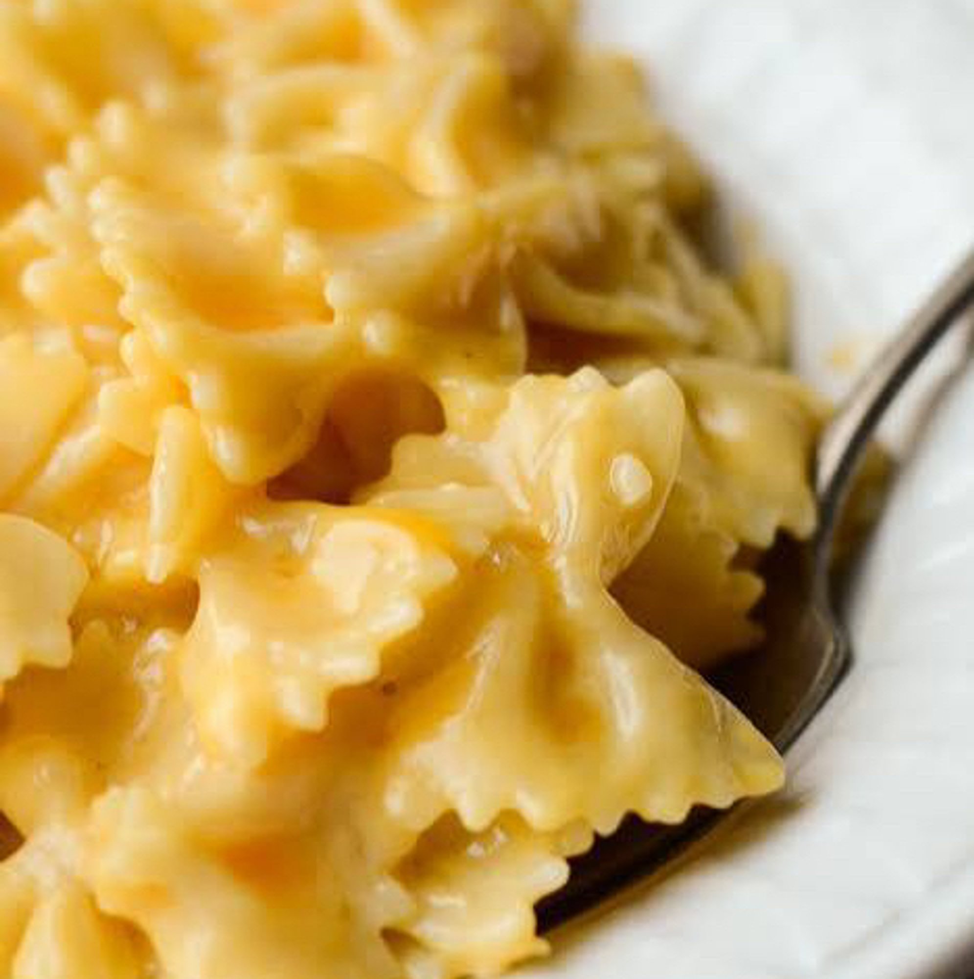 Bow Tie Macaroni & Cheese Dinner Special