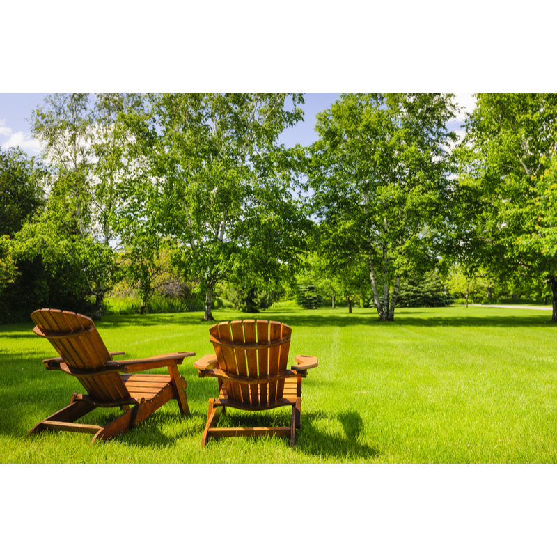 A Friend Landscaping Logo