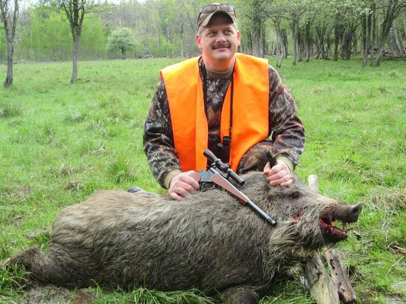 Boar Hunts