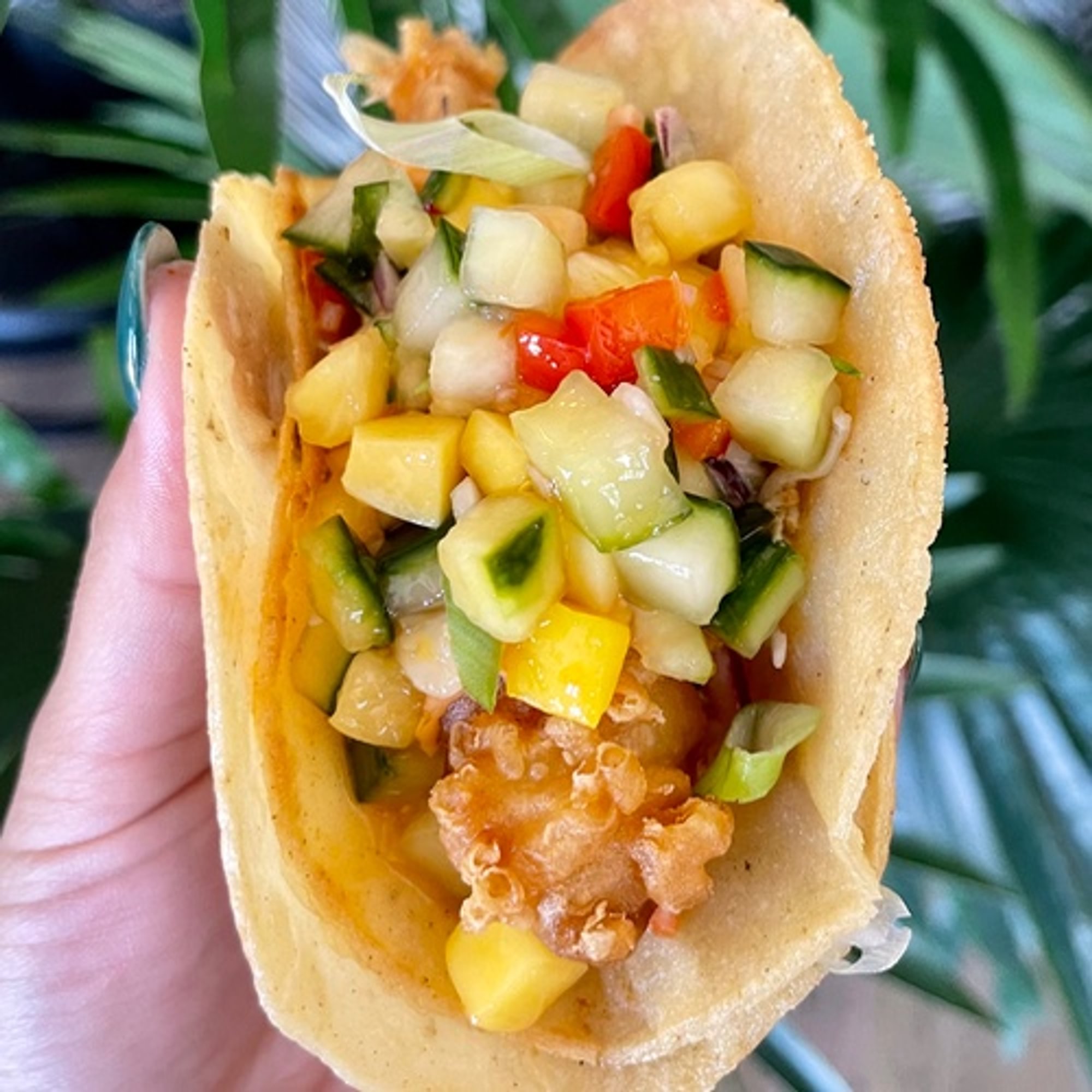 Shrimp Tempura TACOS