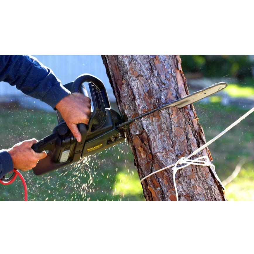 Mayorga Landscaping &amp; Tree Service Logo