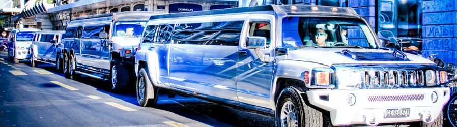 Bilder Vachoux Limousine Service