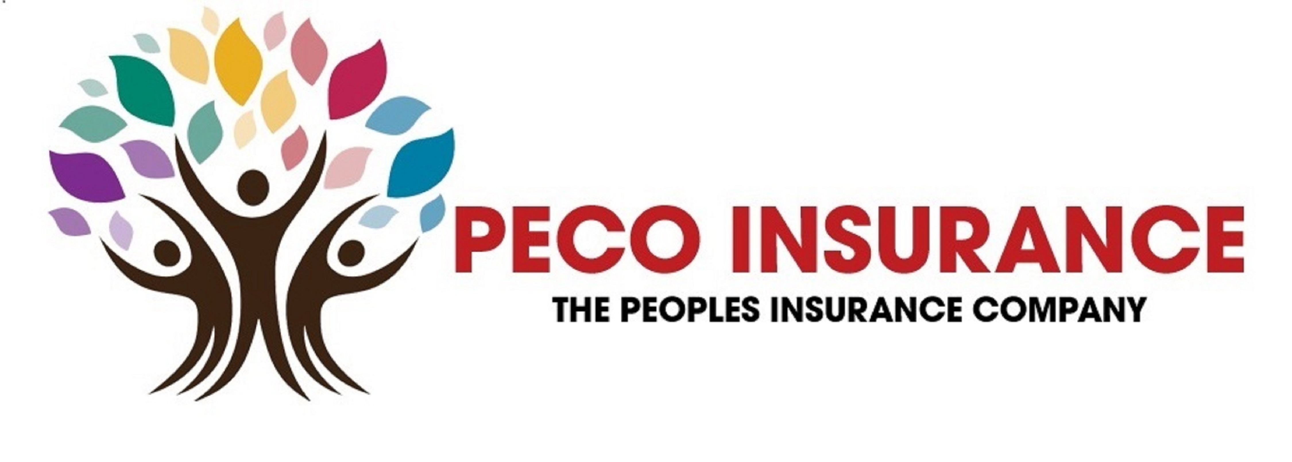 Peco Insurance Photo