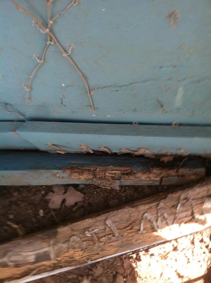 Territory Termite & Pest Control Image