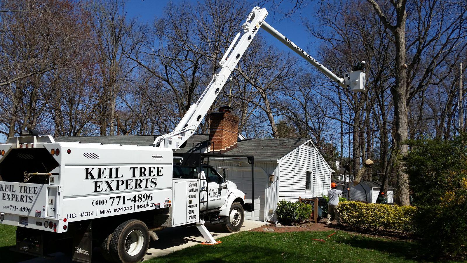 Keil Tree Experts Inc Image
