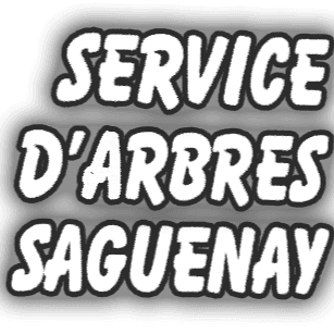 Service d'Arbres Saguenay