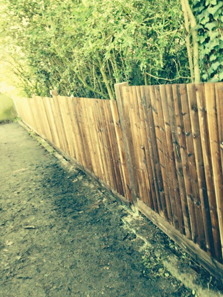 Images Tree & Garden Services
