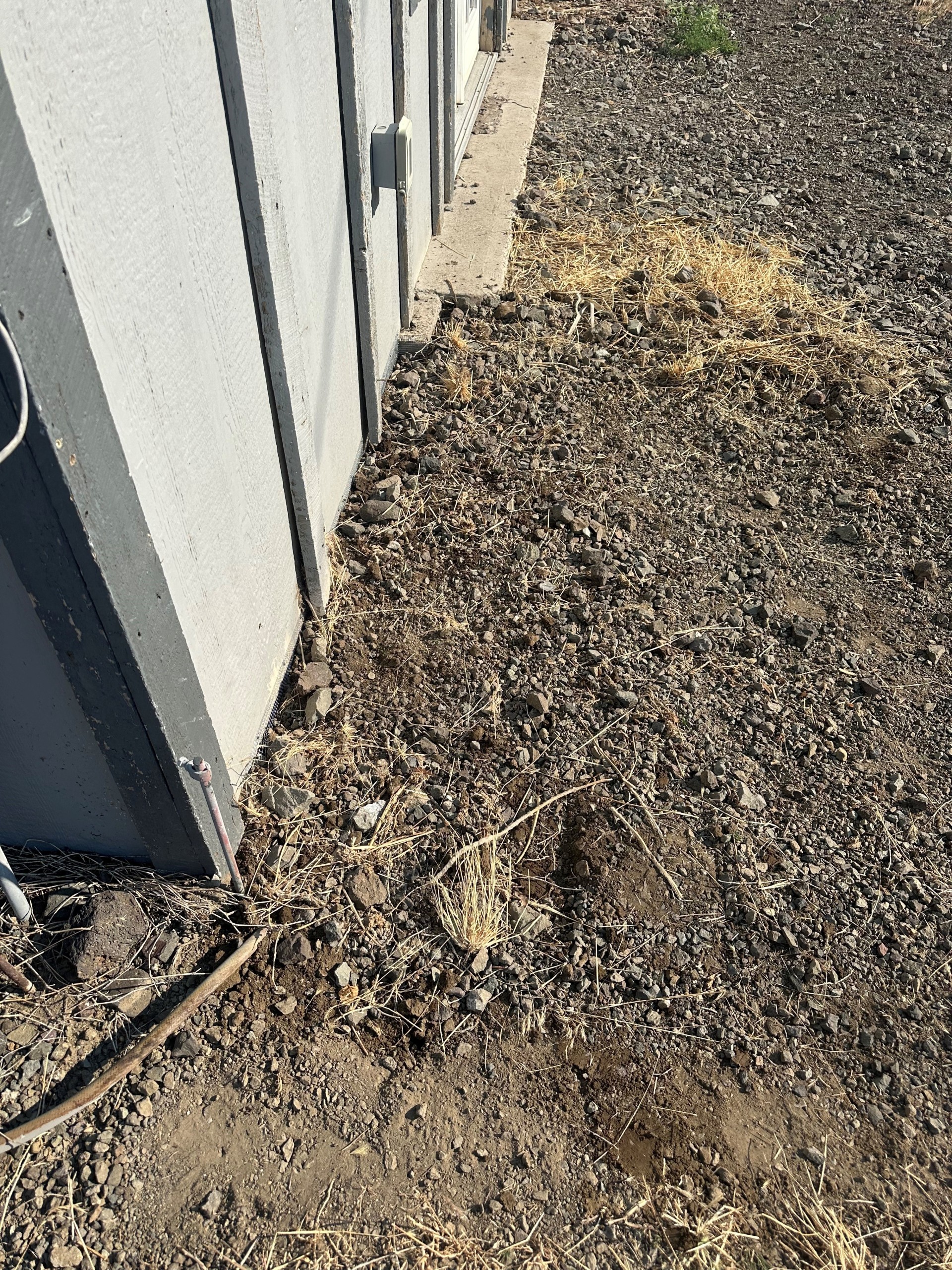 All Natural Pest Elimination Image