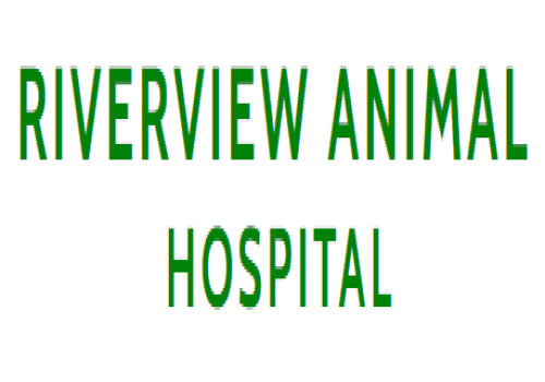 Images Riverview Animal Hospital