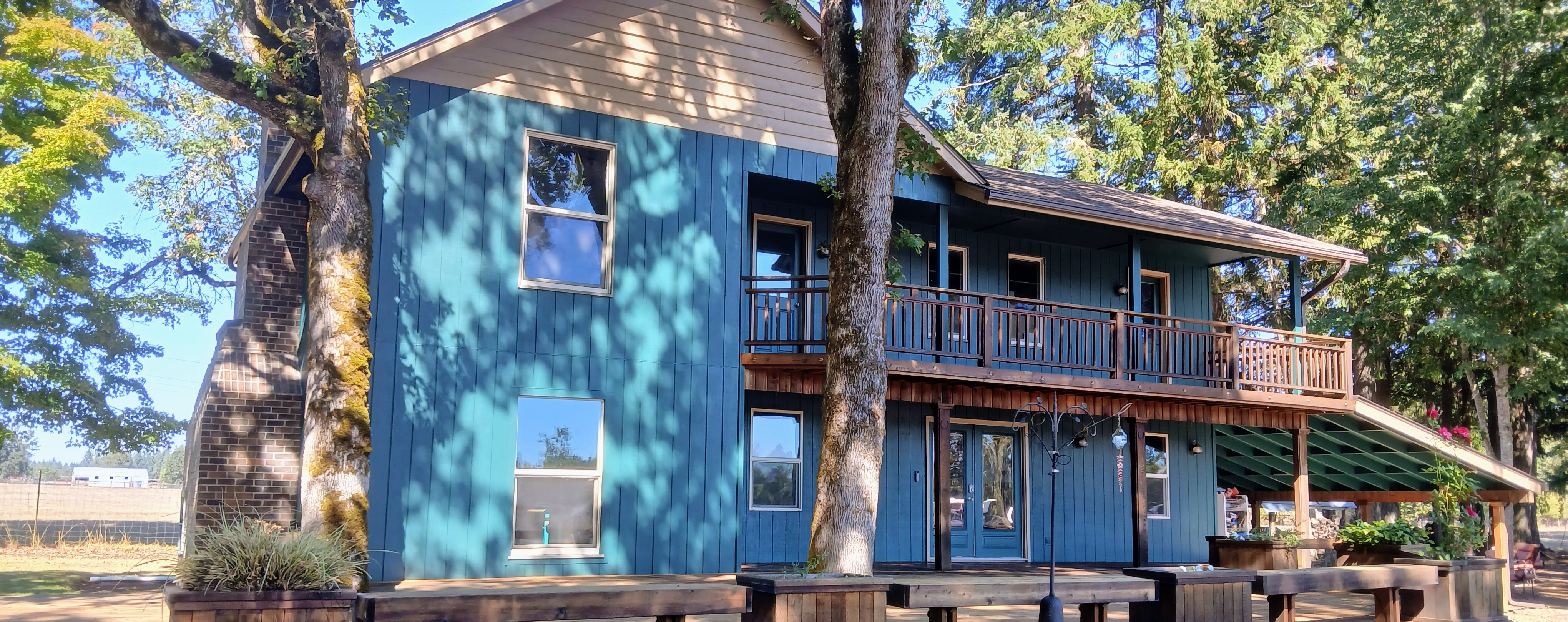 All Purpose Painting & More Image