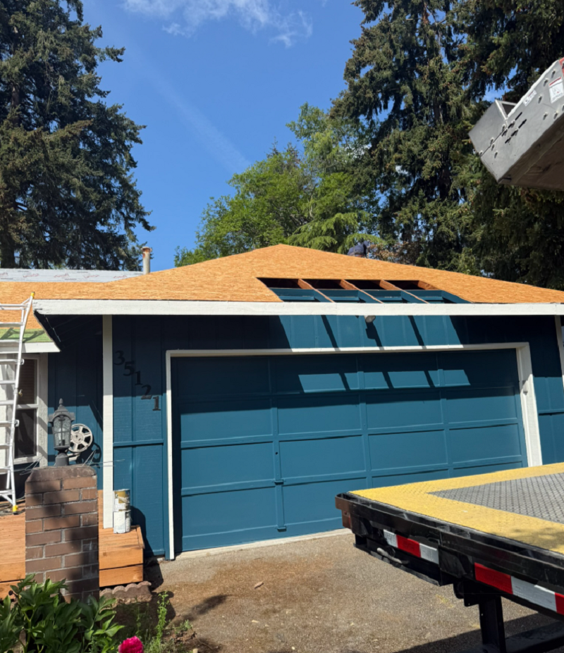 Cover Pro Painting Image