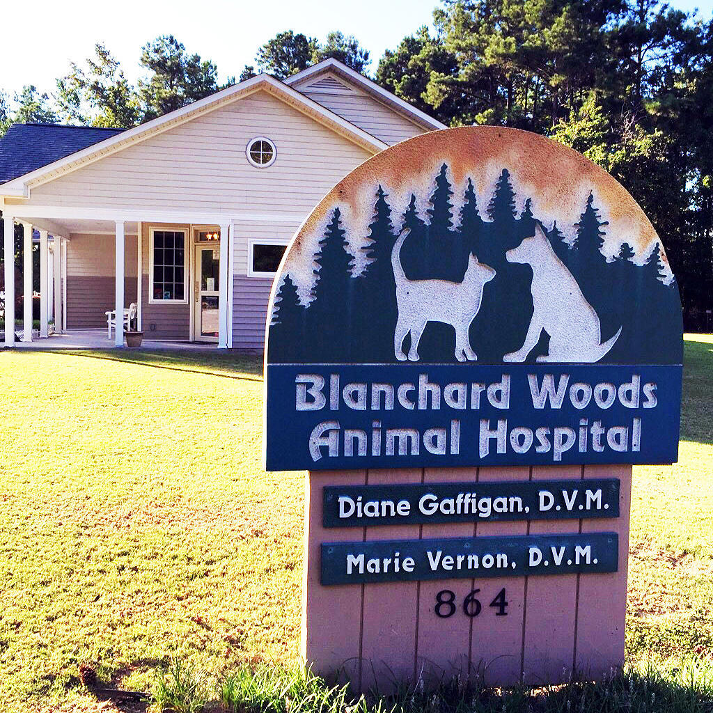 Blanchard Woods Animal Hospital Photo