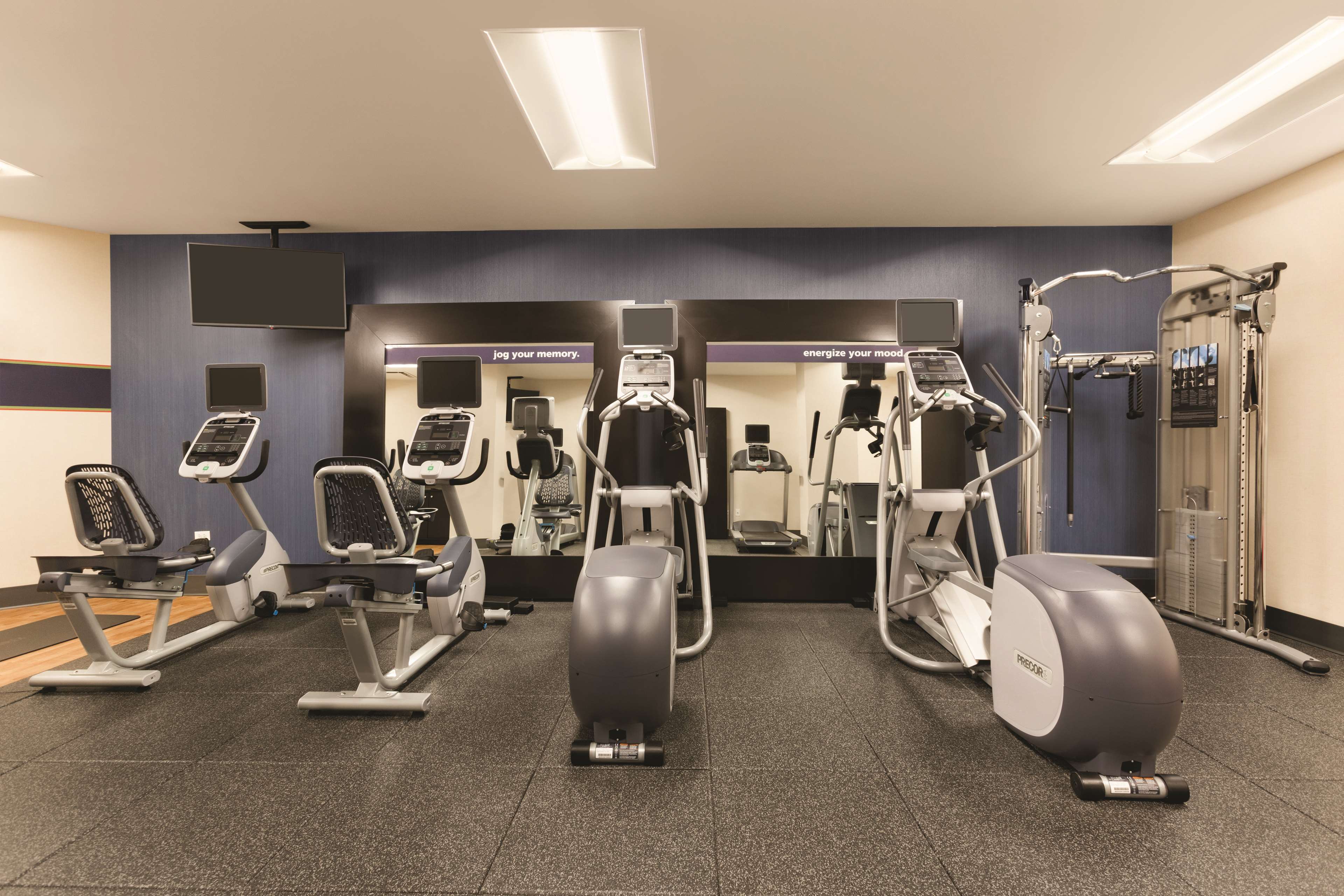 Health club  fitness center  gym