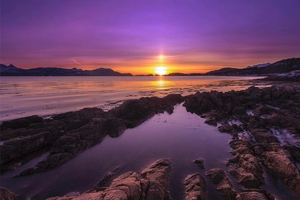Gallery thumbnail