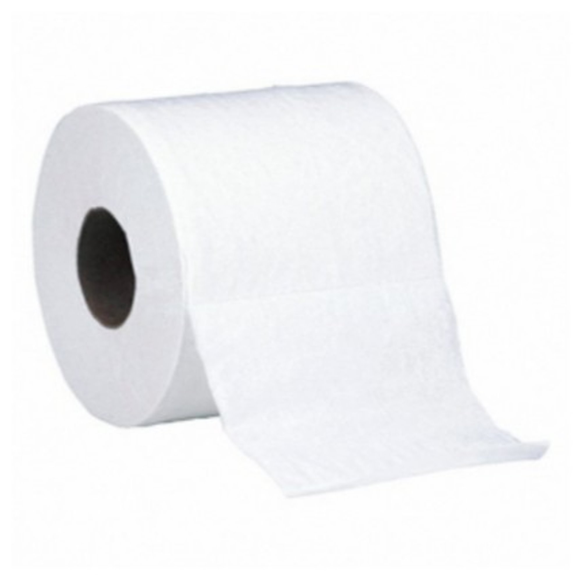Toilet Paper (1 Roll)