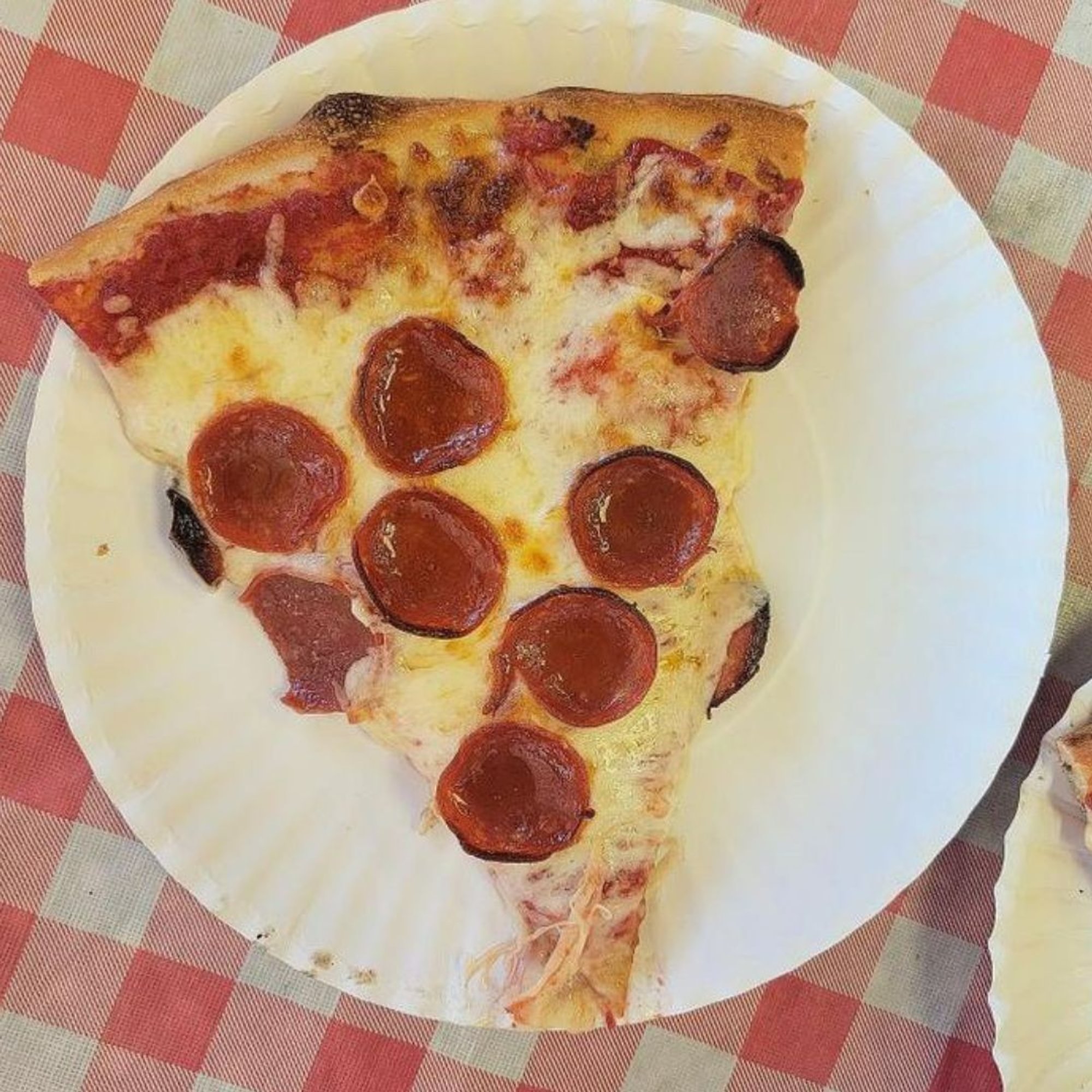 Individual Pizza Slice
