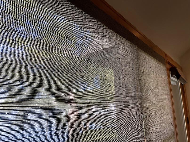 Looking to add some pizzazz to your pad? Woven Wood Shades will give your windows that 