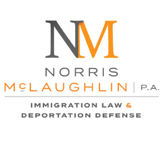 Norris McLaughlin: Immigration Practice Group Photo
