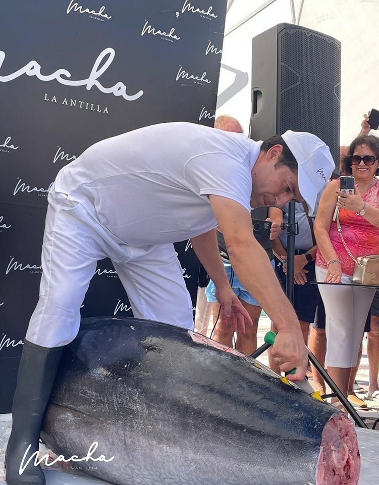 Galería en miniatura