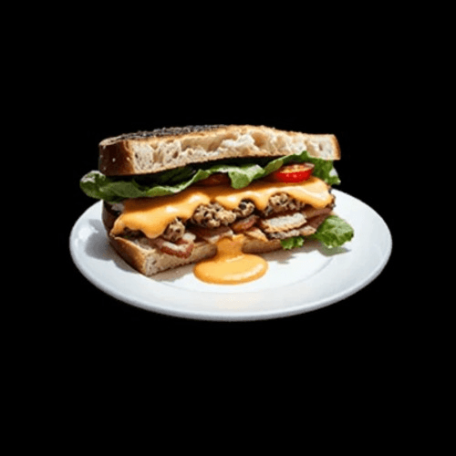 Steak & Cheese Special