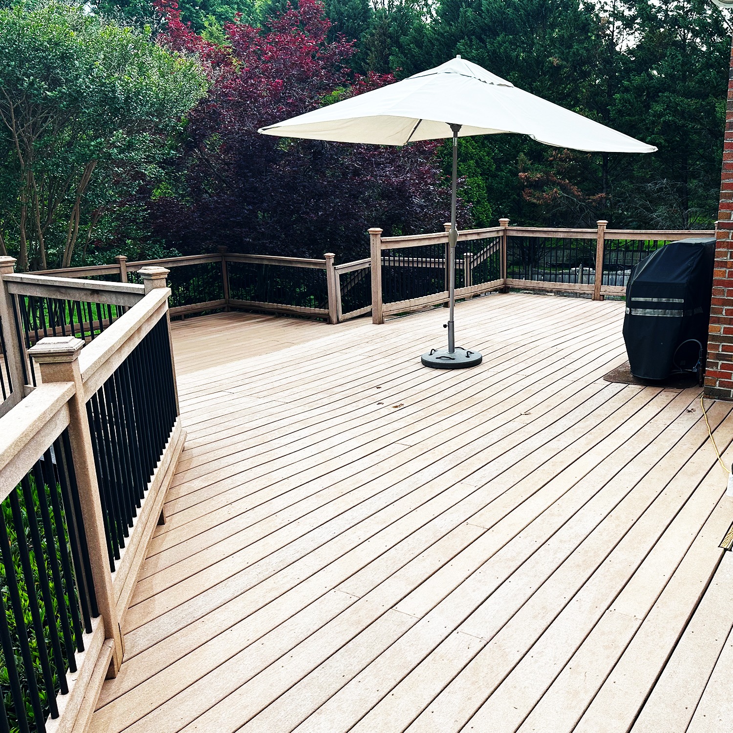 Window Hero Charlotte Image