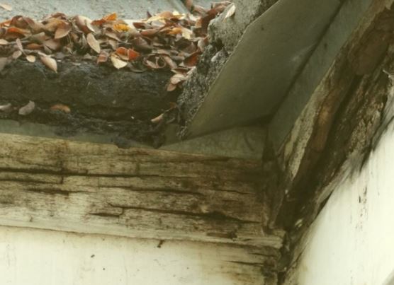 Innovative Roofing Image