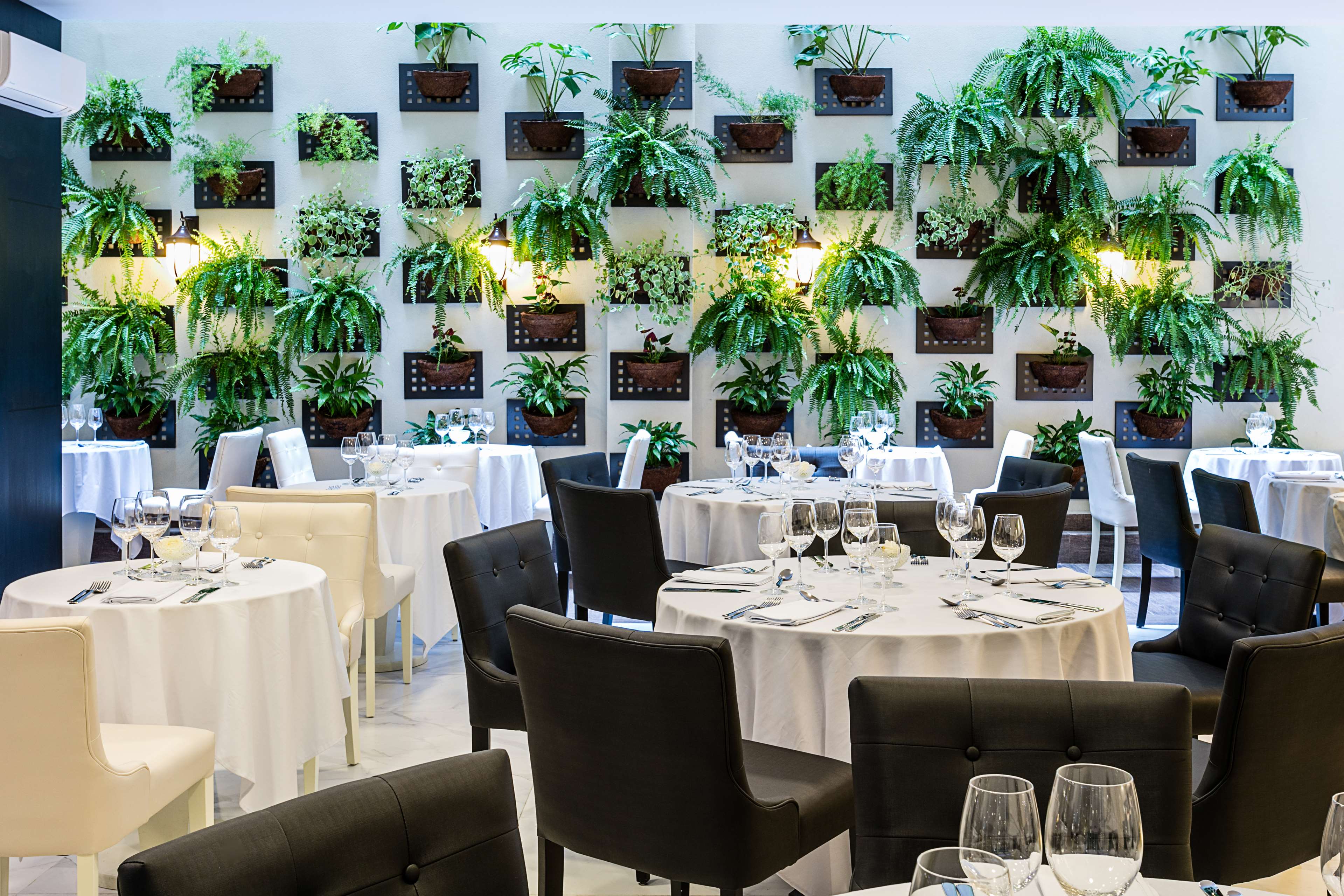 Images Best Western Plus Copacabana Design Hotel