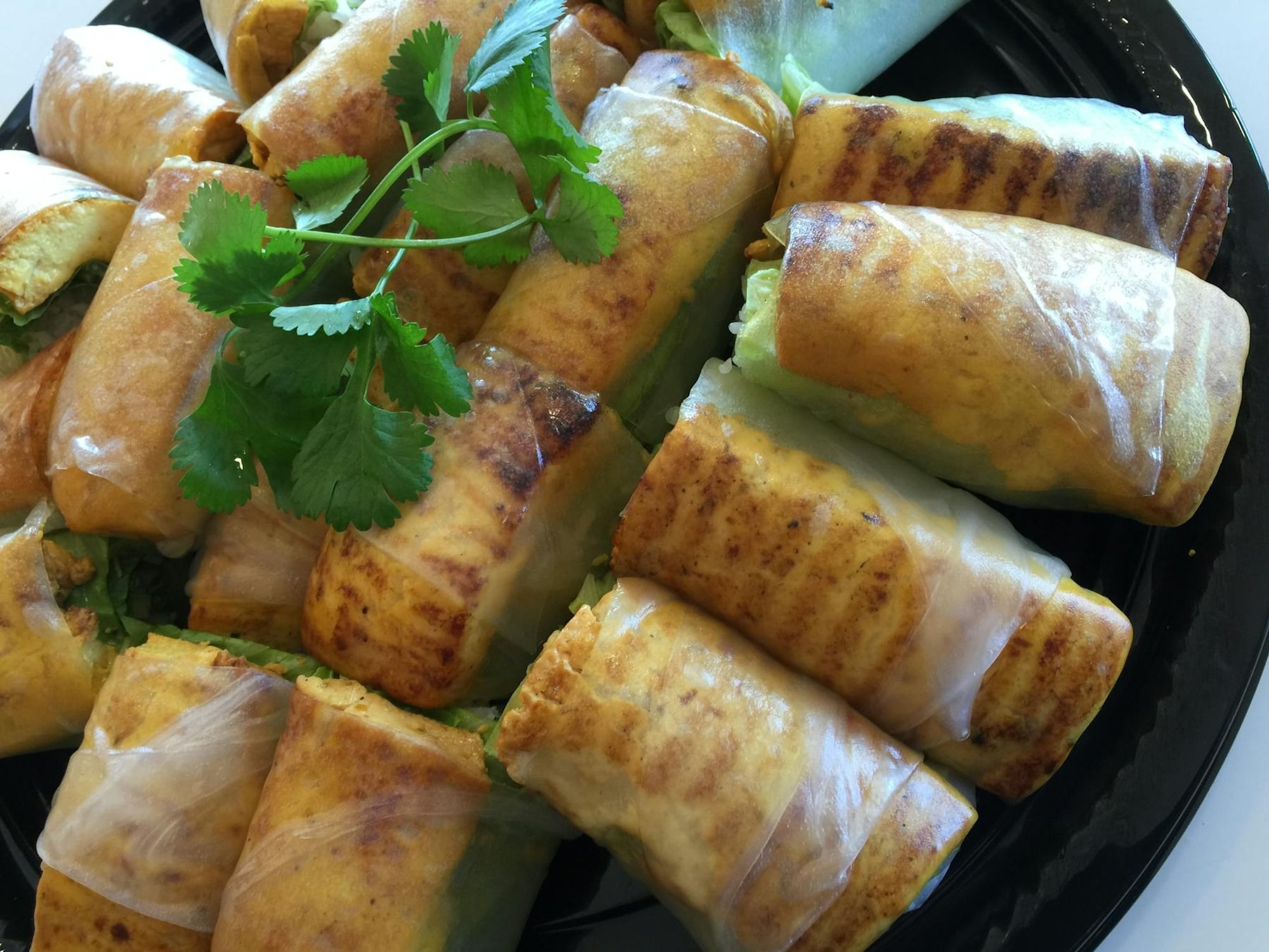 Tofu Spring Rolls