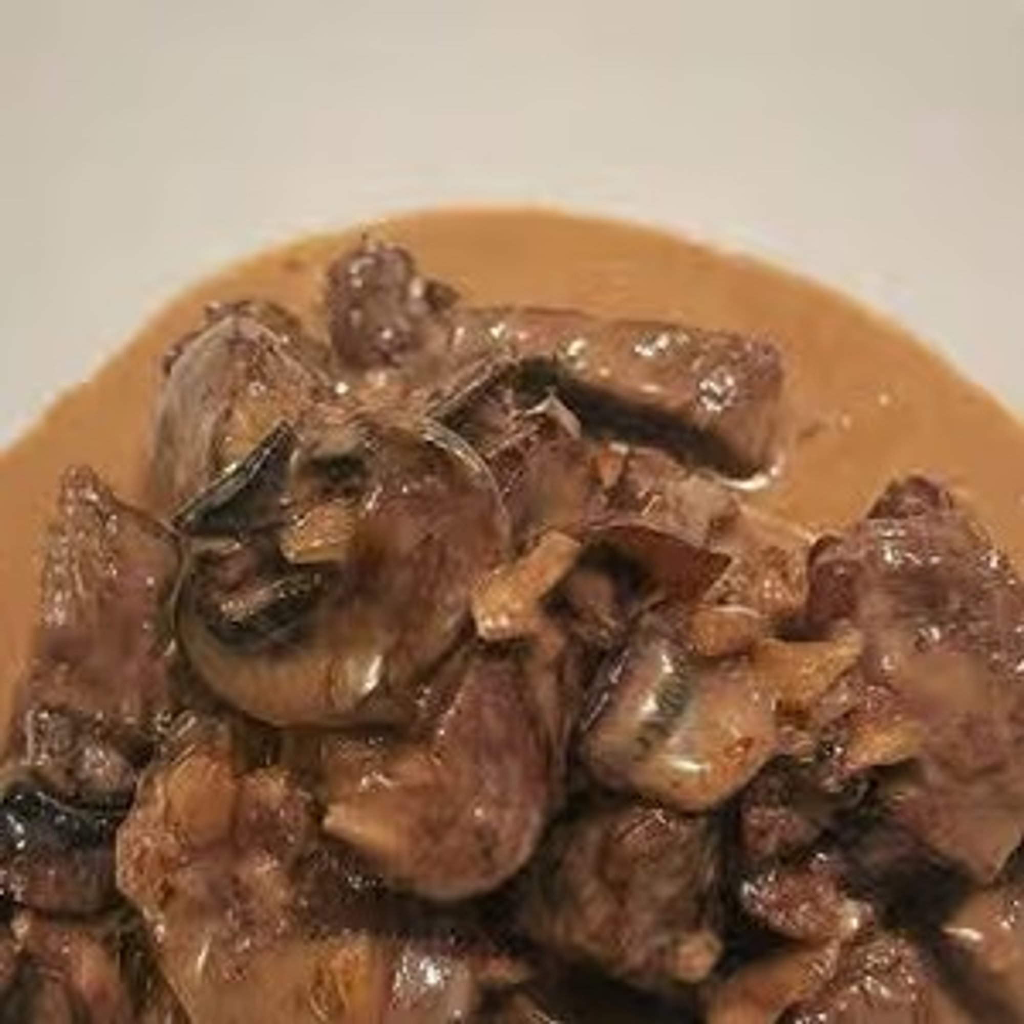 Lomo Strogonoff