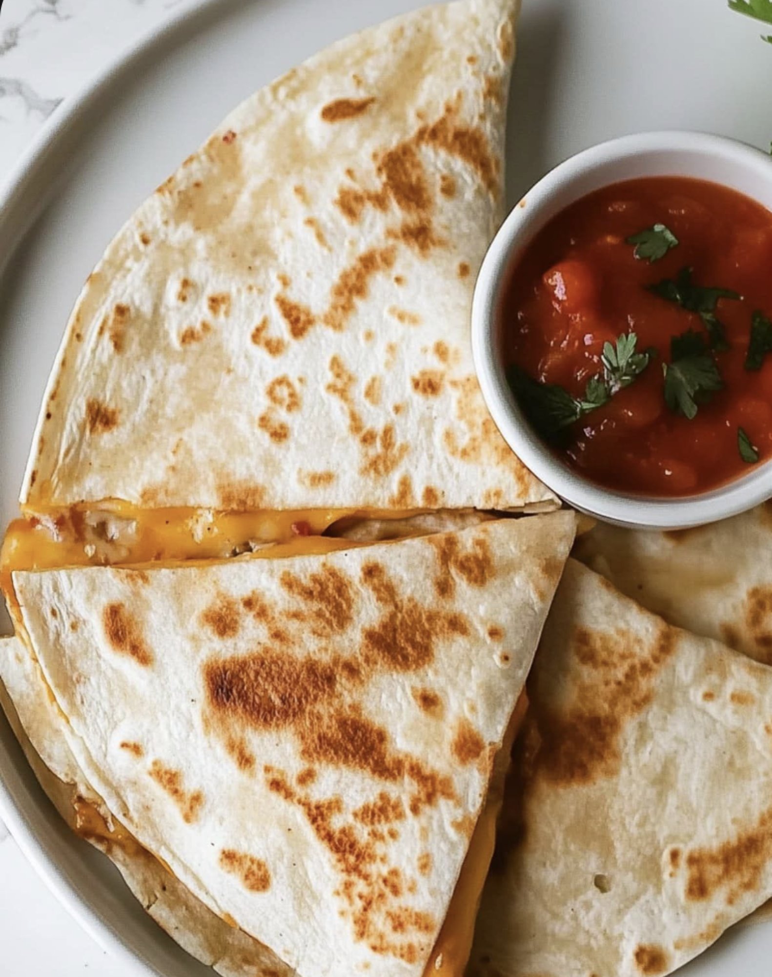Cheese Quesadilla
