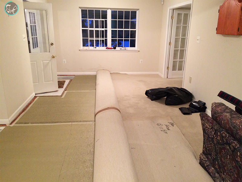 Carpet Cleaning Gaithersburg Photo