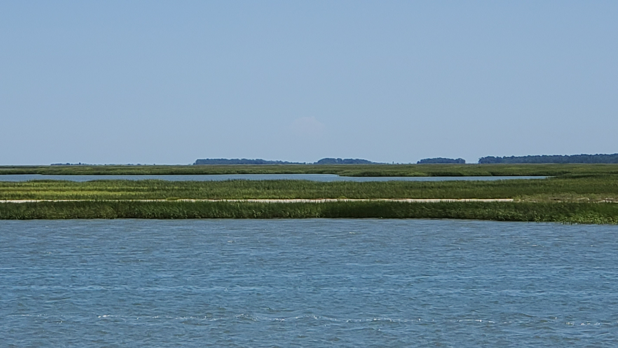 Carolina Girl Vinyl Image