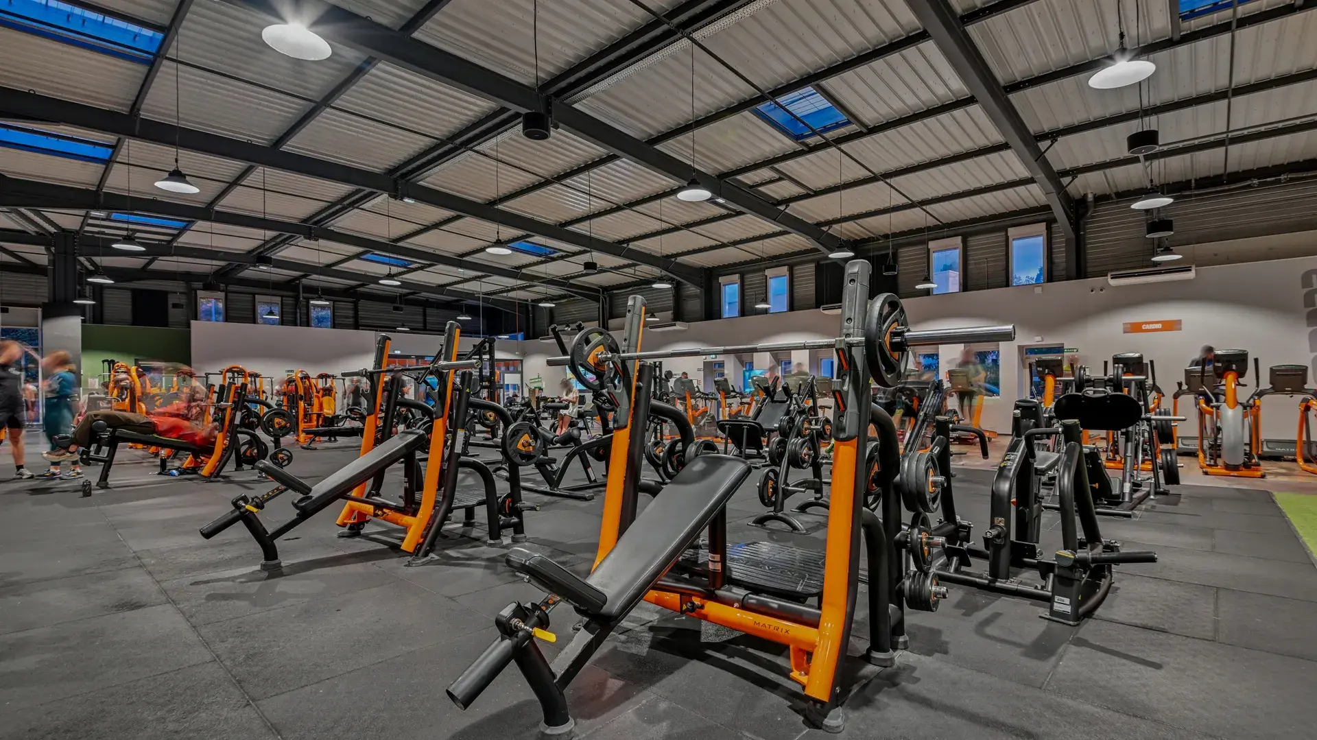 Miniature de la galerie